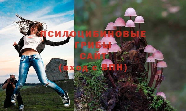 Альфа ПВП Алексеевка
