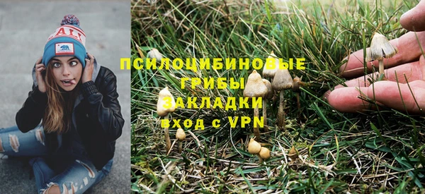 прущая мука Алзамай