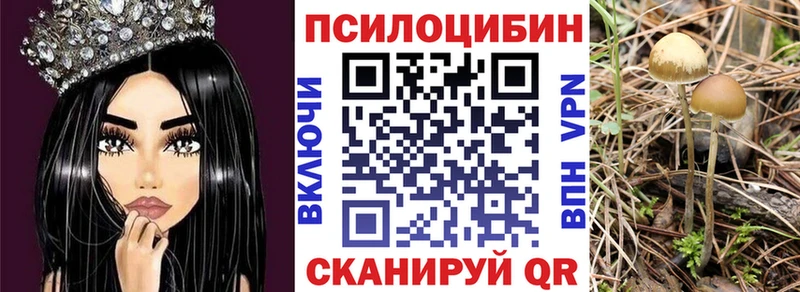 Купить где  Череповец  Галлюциногенные грибы GOLDEN TEACHER 